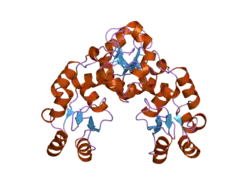 2etx: Crystal Structure of MDC1 Tandem BRCT Domains