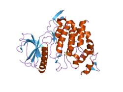 2eu9: Crystal Structure of CLK3