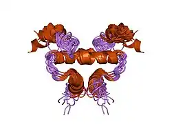 2ezw: Solution structure of the docking and dimerization domain of the type I alpha regulatory subunit of protein kinase A (RIalpha D/D)
