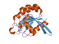 2ffq: The crystal structure of human neuronal Rab6B in its active GTPgS-bound form