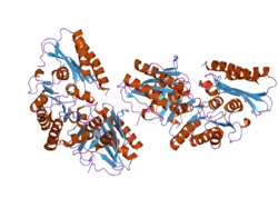 2fvz: Human Inositol Monophosphosphatase 2