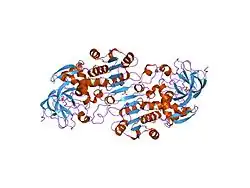 2fze: Crystal structure of the binary complex of human glutathione-dependent formaldehyde dehydrogenase with ADP-ribose
