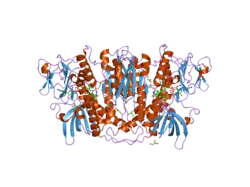 2gh5: Crystal Structure of human Glutathione Reductase complexed with a Fluoro-Analogue of the Menadione Derivative M5