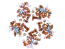 2gr9: Crystal structure of P5CR complexed with NADH