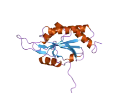 2gt6: Solution structure of Human Cu(I) Sco1