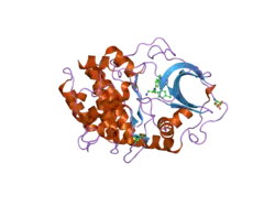 2gu8: Discovery of 2-Pyrimidyl-5-Amidothiophenes as Novel and Potent Inhibitors for AKT: Synthesis and SAR Studies