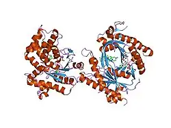 2gvd: Complex Of Gs- With The Catalytic Domains Of Mammalian Adenylyl Cyclase: Complex With TNP-ATP and Mn