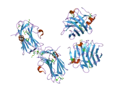 2h0b: Crystal Structure of the second LNS/LG domain from Neurexin 1 alpha