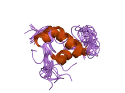 2h8b: Solution structure of INSL3