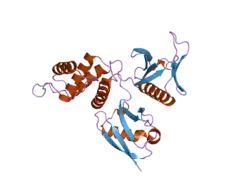 2he7: FERM domain of EPB41L3 (DAL-1)