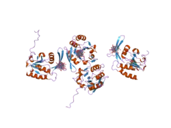 2hhl: Crystal structure of the human small CTD phosphatase 3 isoform 1