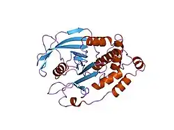 2hnp: CRYSTAL STRUCTURE OF HUMAN PROTEIN TYROSINE PHOSPHATASE 1B