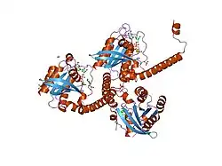 2hv8: Crystal structure of GTP-bound Rab11 in complex with FIP3