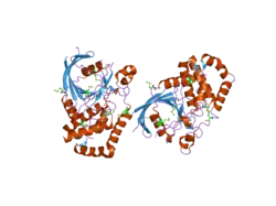 2hy3: Crystal structure of the human tyrosine receptor phosphate gamma in complex with vanadate