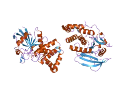 2i4e: Structural studies of protein tyrosine phosphatase beta catalytic domain in complex with inhibitors