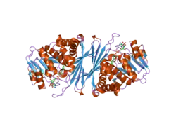 2i99: Crystal structure of human Mu_crystallin at 2.6 Angstrom