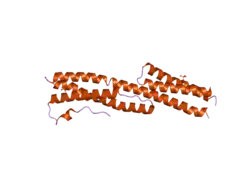 2iak: Crystal Structure of a protease resistant fragment of the plakin domain of Bullous Pemphigoid Antigen1 (BPAG1)