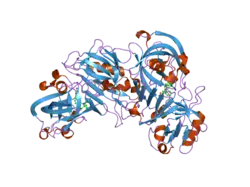 2iku: Crystal Structure of Human Renin Complexed with Inhibitors