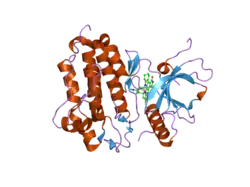 2itq: CRYSTAL STRUCTURE OF EGFR KINASE DOMAIN G719S MUTATION IN COMPLEX WITH AFN941