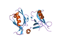 2iwo: 12TH PDZ DOMAIN OF MULTIPLE PDZ DOMAIN PROTEIN MPDZ (CASP TARGET)