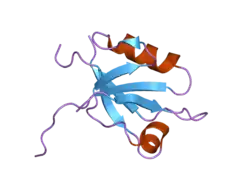2iwq: 7TH PDZ DOMAIN OF MULTIPLE PDZ DOMAIN PROTEIN MPDZ