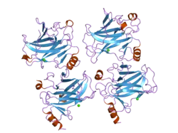 2j1y: HUMAN P53 CORE DOMAIN MUTANT M133L-V203A-N239Y-G245S-N268D