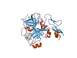 2j4i: CRYSTAL STRUCTURE OF A HUMAN FACTOR XA INHIBITOR COMPLEX