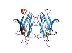 2jhu: CRYSTAL STRUCTURE OF RHOGDI E154A,E155A MUTANT