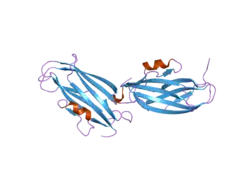 2jhx: CRYSTAL STRUCTURE OF RHOGDI E155H, E157H MUTANT