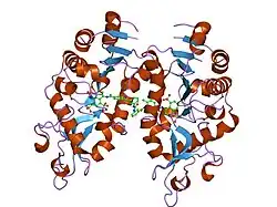 2nyr: Crystal Structure of Human Sirtuin Homolog 5 in Complex with Suramin