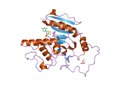 2o1h: Naturally occurring mutation of Humna ABO(H) Galactosyltransferase in complex with UDP: GTB/M214T_UDP
