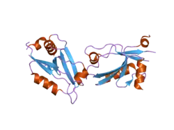 2o2t: The crystal structure of the 1st PDZ domain of MPDZ