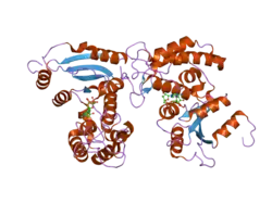 2o3r: Structural Basis for Formation and Hydrolysis of Calcium Messenger Cyclic ADP-ribose by Human CD38