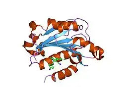 2o7n: CD11A (LFA1) I-domain complexed with 7A-[(4-cyanophenyl)methyl]-6-(3,5-dichlorophenyl)-5-oxo-2,3,5,7A-tetrahydro-1H-pyrrolo[1,2-A]pyrrole-7-carbonitrile
