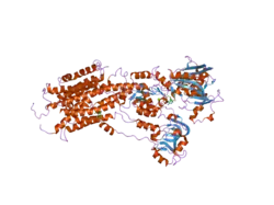 2oa0: Crystal structure of Calcium ATPase with bound ADP and cyclopiazonic acid