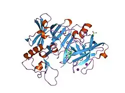 2ohp: X-ray crystal structure of beta secretase complexed with compound 3