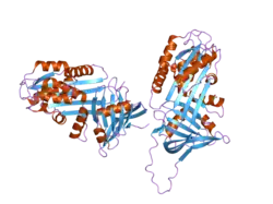 2ol2: High Resolution Structure of Native PCI in Space Group P21