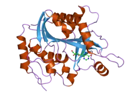2on6: Crystal structure of human purine nucleoside phosphorylase mutant H257F with Imm-H