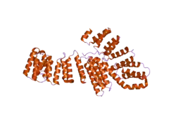 2ooe: Crystal structure of HAT domain of murine CstF-77