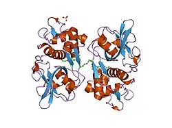 2op3: The structure of cathepsin S with a novel 2-arylphenoxyacetaldehyde inhibitor derived by the Substrate Activity Screening (SAS) method