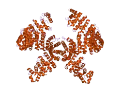 2ot8: Karyopherin Beta2/Transportin-hnRNPM NLS Complex