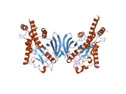 2p6x: Crystal structure of human tyrosine phosphatase PTPN22