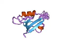 2pdz: SOLUTION STRUCTURE OF THE SYNTROPHIN PDZ DOMAIN IN COMPLEX WITH THE PEPTIDE GVKESLV, NMR, 15 STRUCTURES