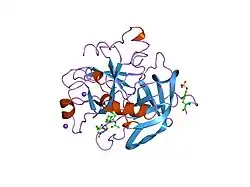 7kme: CRYSTAL STRUCTURE OF HUMAN ALPHA-THROMBIN INHIBITED WITH SEL2711.