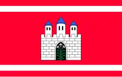 Flag of Strzelce Krajeńskie