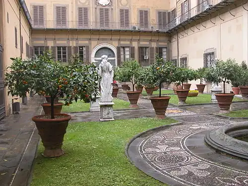 Courtyard garden