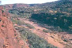 Palm Valley, located in the national park