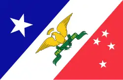 Pan-American Exposition flag, designed by Adelaide J. Thorpe[7]