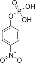 Skeletal formula of para-nitrophenylphosphate