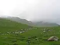 Lush green Pastures of the Hirpora Wildlife Sanctuary at Pir Ki Gali.